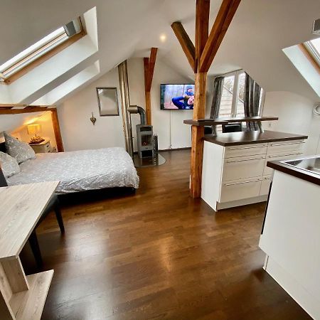 Wohnen Ueber Den Daechern Von Ravensburg, Stadtnah, Kamin, Klima Διαμέρισμα Εξωτερικό φωτογραφία
